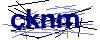 Code CAPTCHA