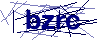 Code CAPTCHA
